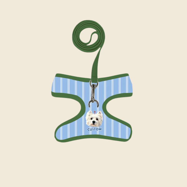 Custom Pet Harness