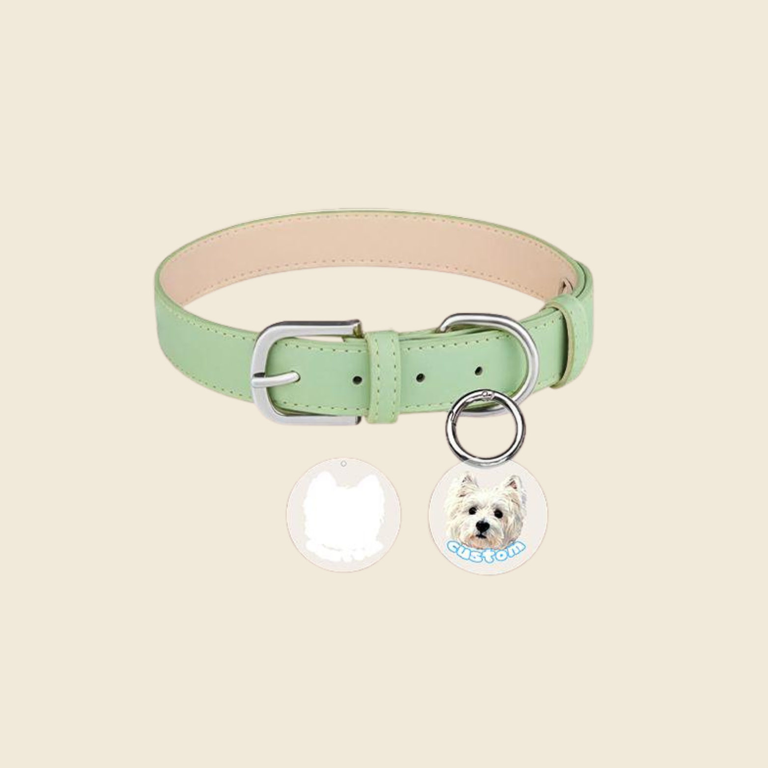 Custom Pet Collar