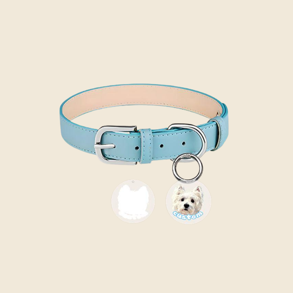 Custom Pet Collar